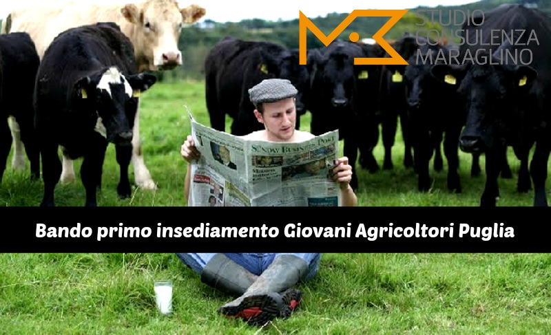 Bando primo insediamento Giovani Agricoltori Puglia 